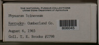 Image Associated With the Occurence